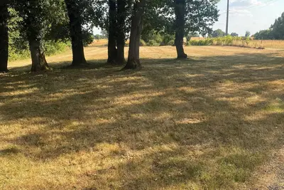 Image de Maison isolée + grand jardin