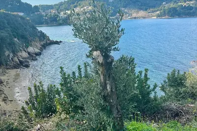 Image de Villa Panorama, the magic of Skiathos in a family villa with history