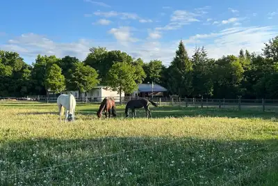 Image de The Zechenhaus - relaxation in the beautiful Harz Mountains