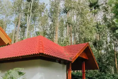 Image de Wood Clusters