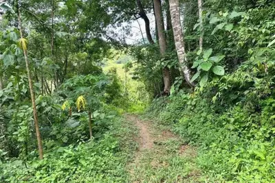 Image de Beautiful Ecolodge La Barquera in Aragua