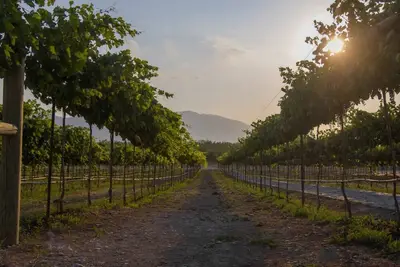 Image de Townhouse 3br Pueblo Parvada