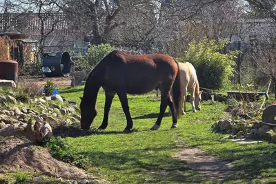 Image de Studio confortable avec Wi-Fi, espace de travail et accueil cavaliers, randonneurs, monteurs