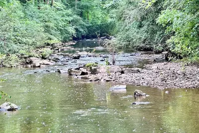 Image de The Vineyard at Big Bear Creek Charming 3-bedroom cabin. Pet friendly. Wifi