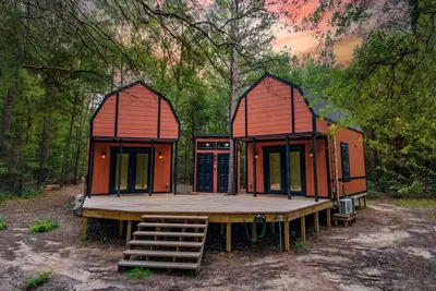 Image de Getaway to the Pines of East Texas - Eagle 2