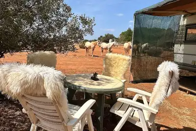 Image de La caravane de Paul pour 4 personnes - Admirez les chevaux depuis votre lit