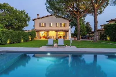 Image de The Fig Tree and The Owl