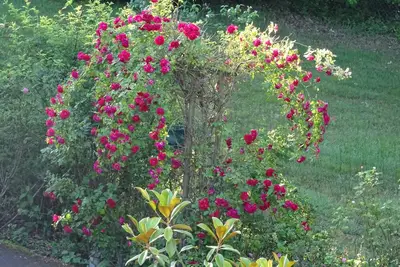 Image de Petit gîte la clef de voûte améthyste