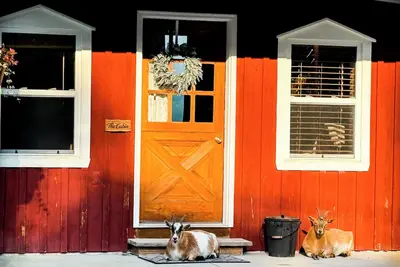 Image de Charming Cabin on horse farm minutes from Letchworth State park