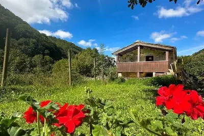 Image de Los Ríos: Spectacular Cabin between two incredible rivers