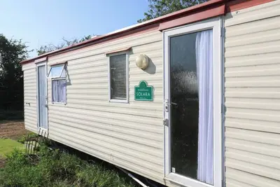 Image de Freesia, pet friendly in Northampton