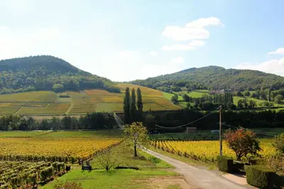 Image de Gîte de \"La Bauderie\", au cœur du vignoble Mâconnais