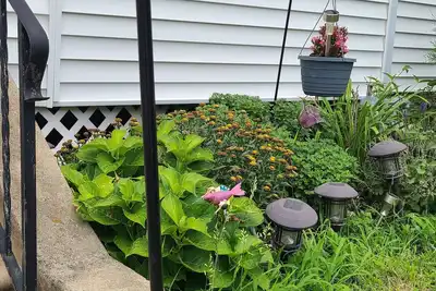 Image de Humble Abode