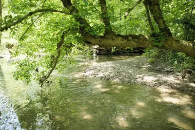 Image de 9511 Compressor Rd, Chesterhill, Oh - Outdoor Movie Theater with Outdoor Kitchen and Games