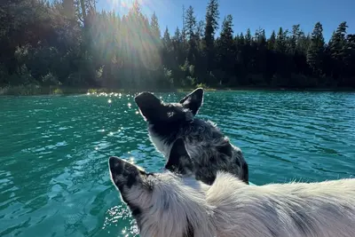 Image de Nestled into the mountains, relax under the star in the hot tub