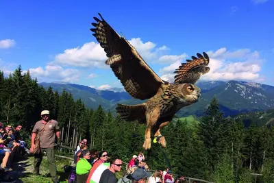 Image de Appartement supérieur avec sauna infrarouge (sans dépôt)