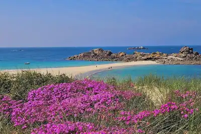 Image de Votre maison, un paradis à 200m de la baie de Roscoff et de ses superbes plages