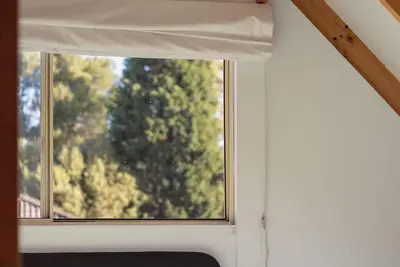 Image de Lemon Tree | Walk to the beach! | Pet Friendly | Free Parking | Eco Friendly