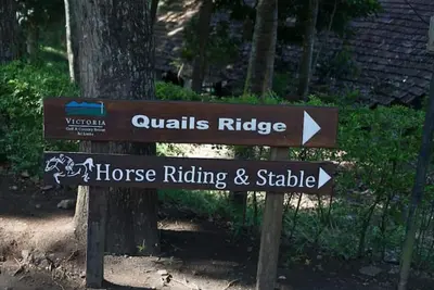 Image de Subashri Villa