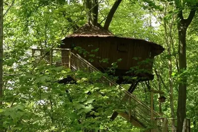 Image de Cabane 3 étoiles - Piscine  - ccbbifi