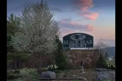 Image de Cozy 2-bedroom cabin in the heart of Canaan Valley, with WiFi, Ac, trails & pool