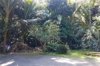 Image de Great Barrier Island Escape