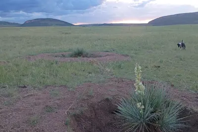 Image de Your Claim for Frontier Days. The West, Uncrowded.