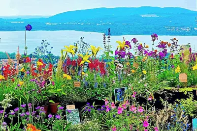 Image de Charming house in the delightful Borgo Tra-Monti e Laghi