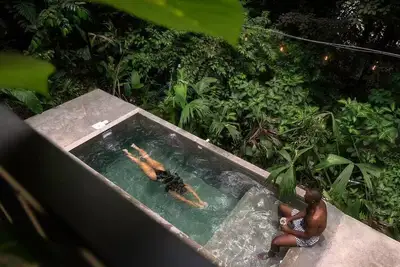 Image de New! Your very own Jungle Oasis!