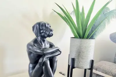 Image de Cocon de Luxe