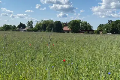 Image de Apartment in converted stable barn with own garden near the lake, south facing. Uckermark