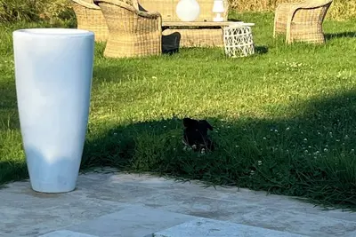 Image de Villa avec piscine privée au cœur de la nature Corse sans vis à vis