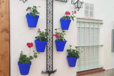 Image de Geranio Chipionahome C/larga 87a 4