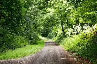 Image de Spacious vacation apartment on the edge of the Palatinate Forest