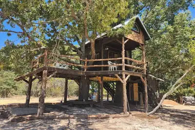 Image de The Treehouse at the Learning Gardens