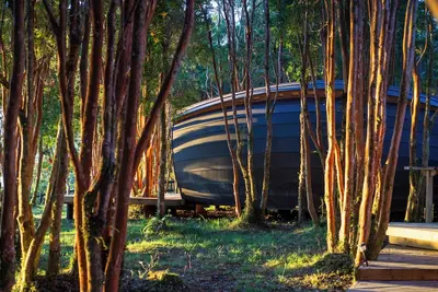 Image de Live the adventure on a remote island of the world.