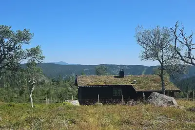 Image de Vue magique | Nature préservée | Alpage d'été avec chèvres