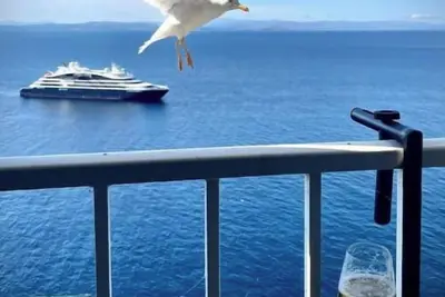 Image de Fleur de Falaise