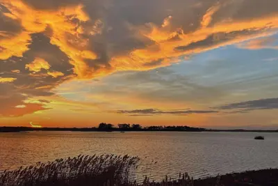 Image de Heron’s Haven-  a dog friendly beach oasis