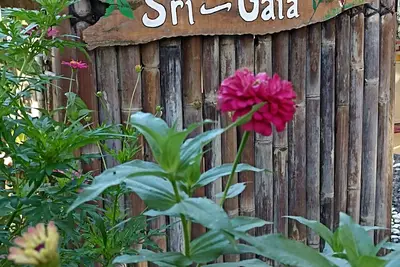 Image de Sri Gaïa Yogyakarta