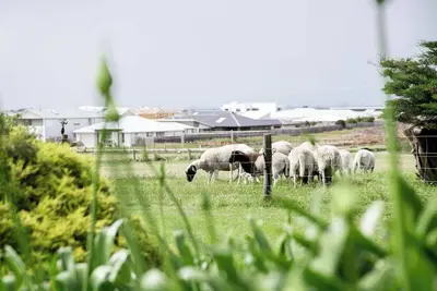 Image de Seaside Country Escape