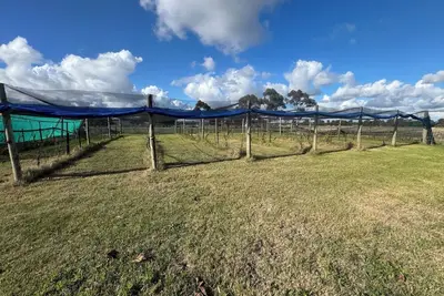 Image de Farm Stay, feed sheep and relax close to airport