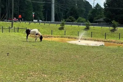 Image de Private 2/1 basement suite close to Lakepoint, Braves, Ksu and more!