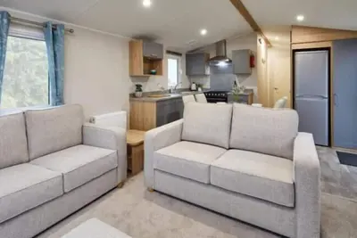 Image de Crécerelle de la baie de Cayton40