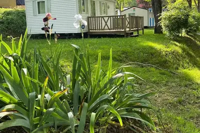 Image de Mobil-home 2 chambres Petit - terrasse non couverte 4 personnes