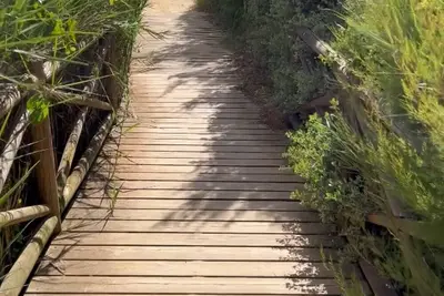 Image de B Beach Apartment Armaçao de Pêra - Apartamento com vista ao mar