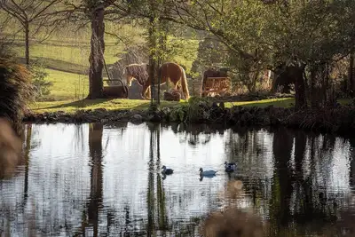 Image de Arion Park Clydesdale Farmstay in Yolla