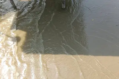 Image de Golden Palm Tree Sepang Luxury Homestay