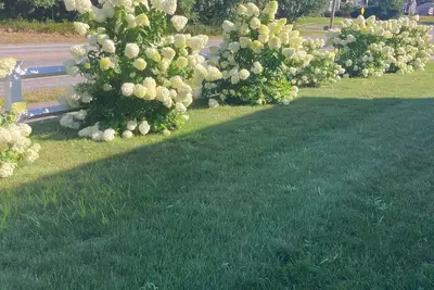 Image de Charming 4-bedroom house with Ac, fitness room in terrific Dennis