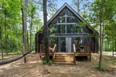 #9 Tree Frog at Lost Forest Cabins